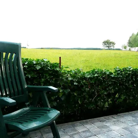 Holliday La Douane