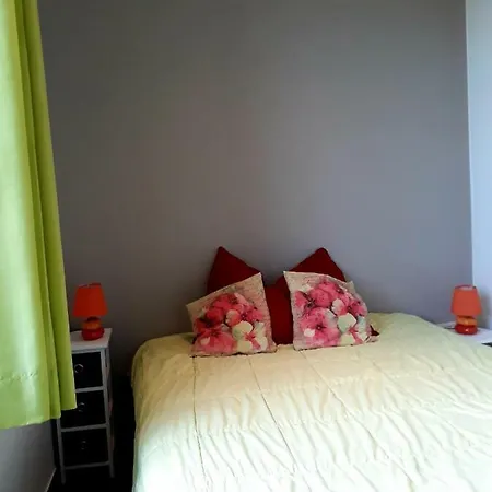 Holliday La Douane Holiday home Gedinne